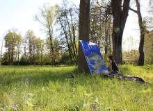 IMG_2896_original